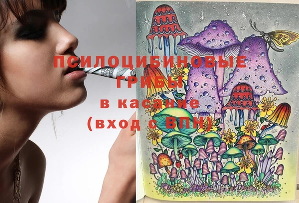 эйфоретик Протвино
